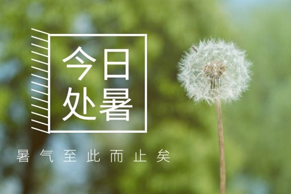 【衡陽通用電纜】處暑不是暑，秋涼知我意